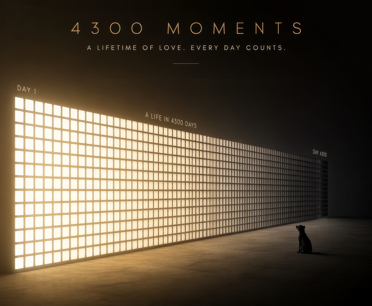 4300 DAYS 展览现场